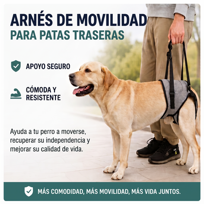 PawLift™ - Arnés de Movilidad para Perros