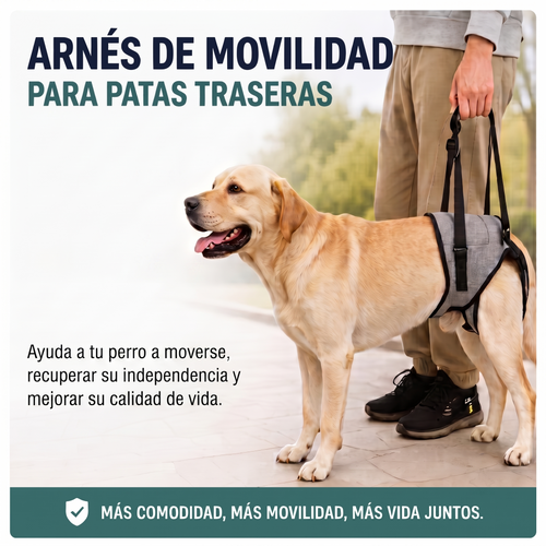 Arnés de Movilidad para Patas Traseras de Perros XL