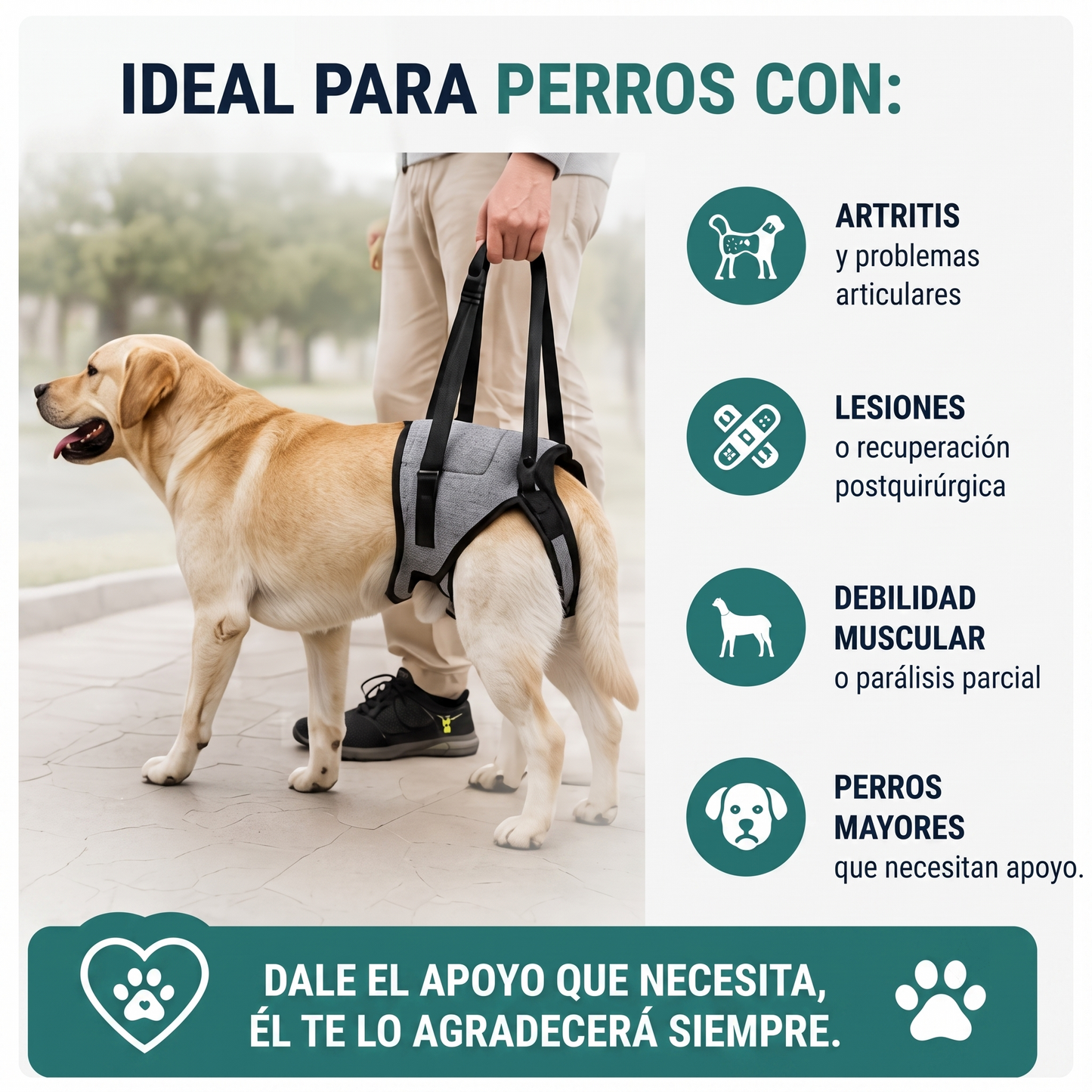 Arnés de Movilidad para Patas Traseras de Perros XL