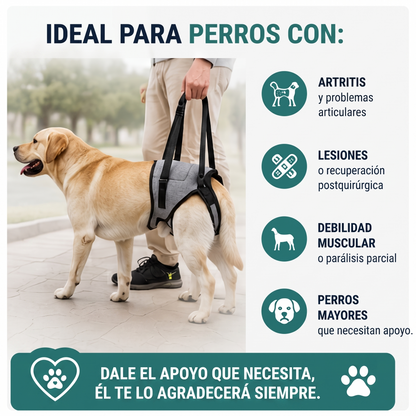 Arnés de Movilidad para Patas Traseras de Perros XL