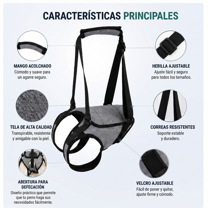 Arnés de Movilidad para Patas Traseras de Perros XL