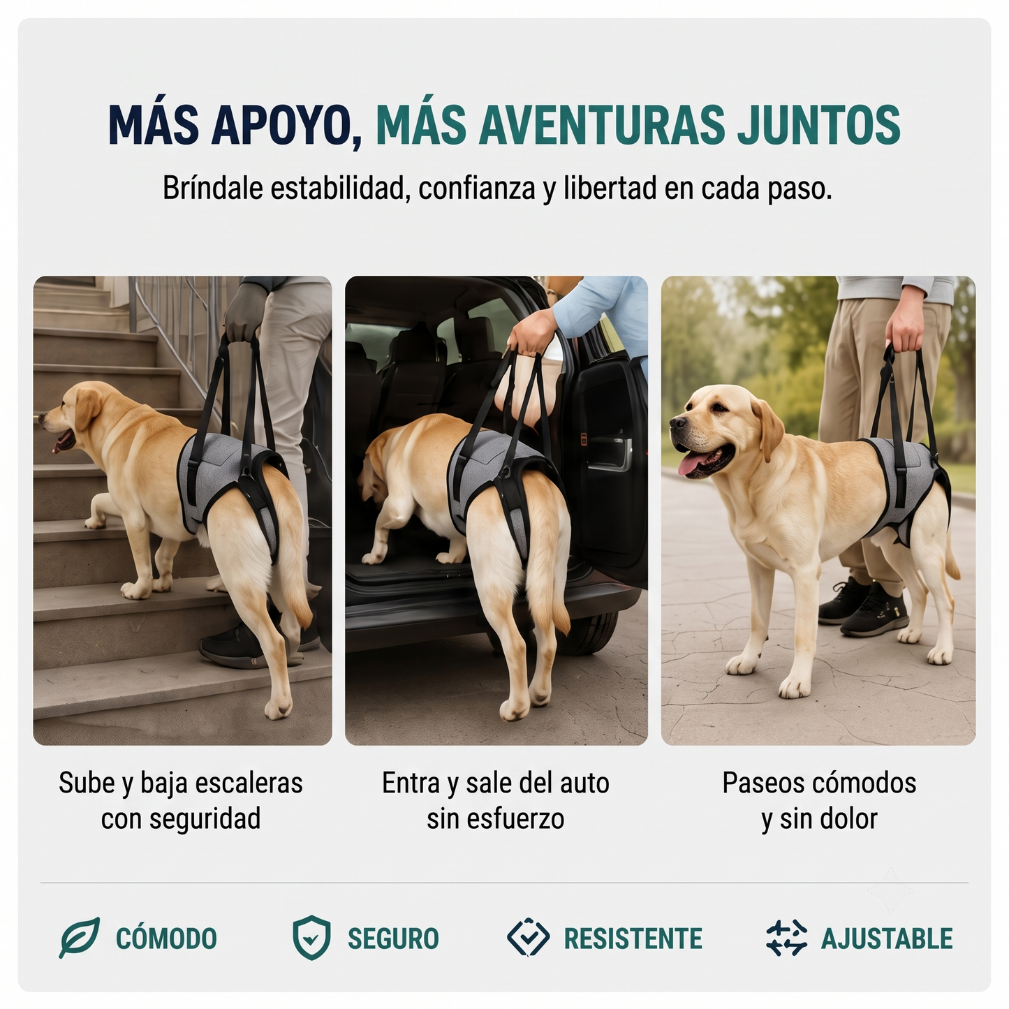 Arnés de Movilidad para Patas Traseras de Perros XL