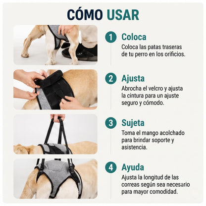 Arnés de Movilidad para Patas Traseras de Perros XL