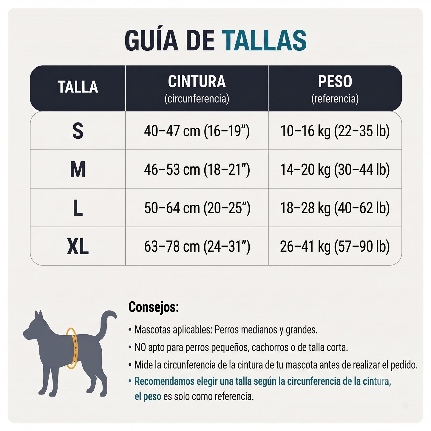 Arnés de Movilidad para Patas Traseras de Perros XL