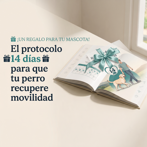 (PDF) El protocolo de 14 días para que tu perro recupere movilidad